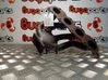 Extremo del silenciador 