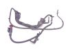 Positive wiring loom A9065461061