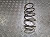 Front coil spring 