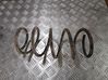 Front coil spring 