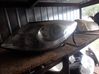 Headlights/headlamps set 