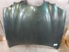 Engine bonnet/hood 
