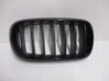 Atrapa chłodnicy / Grill 7316076