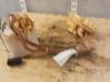 In-tank fuel pump 