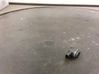 Parking PDC sensor 