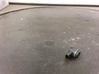 Parking PDC sensor 