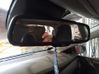 Rear view mirror (interior) 