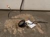 Clutch cable 