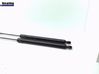 Tailgate/trunk strut/damper 1683644