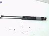 Tailgate/trunk strut/damper 8P3827552E