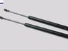 Tailgate/trunk strut/damper 1094814