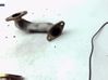 EGR valve cooler 