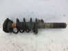 Front shock absorber with coil spring 
