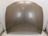 Engine bonnet/hood 