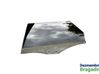 Rear door window glass 