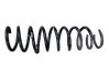 Rear coil spring 33531093939