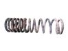 Rear coil spring 1143760