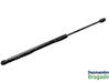 Tailgate/trunk strut/damper 13258179
