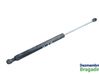 Tailgate/trunk strut/damper 7700842256