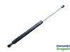 Tailgate/trunk strut/damper 7700842256