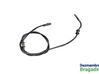 Cableado del sensor ABS trasero 