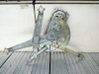 Fensterheber mechanisch Tür hinten 