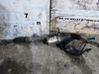 Steering rack 1623287280