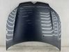 Engine bonnet/hood 00007901P3