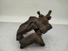 Front brake caliper 410016069R