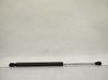 Tailgate/trunk strut/damper 