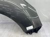 Fender 1929669
