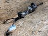 Steering rack 9647450780