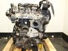 Engine 55577919
