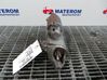 Starter motor 55556092