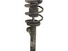 Front shock absorber with coil spring 31311096849