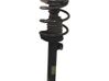 Front shock absorber with coil spring 31311096850