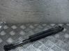 Tailgate/trunk strut/damper 51248254281