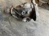 Rear differential 33101428503