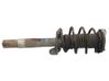 Front shock absorber with coil spring 31316786536