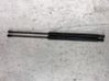 Tailgate/trunk strut/damper 