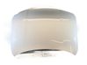 Engine bonnet/hood 41007484213