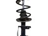 Front shock absorber/damper 543028420R