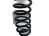 Muelle espiral trasero 550201136R