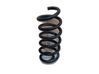 Muelle espiral trasero 550201136R