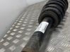Front shock absorber with coil spring 50515149