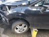 Fender 1777181