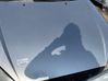 Engine bonnet/hood 1430131