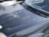 Capó/tapa del motor 6001546685