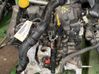 Motor 7701476910