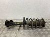 Front shock absorber with coil spring 1493887